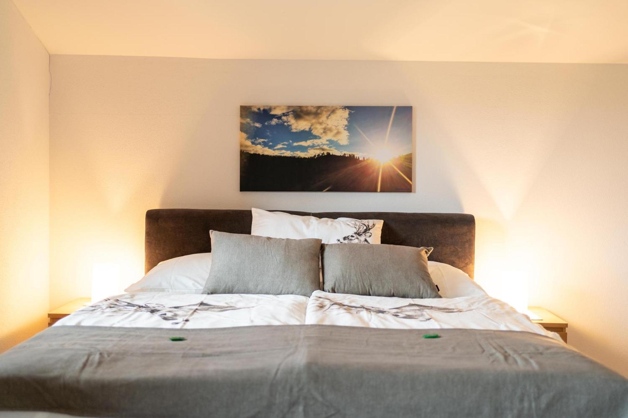 וורפנוונג Alpen Appartements Oberlehengut מראה חיצוני תמונה